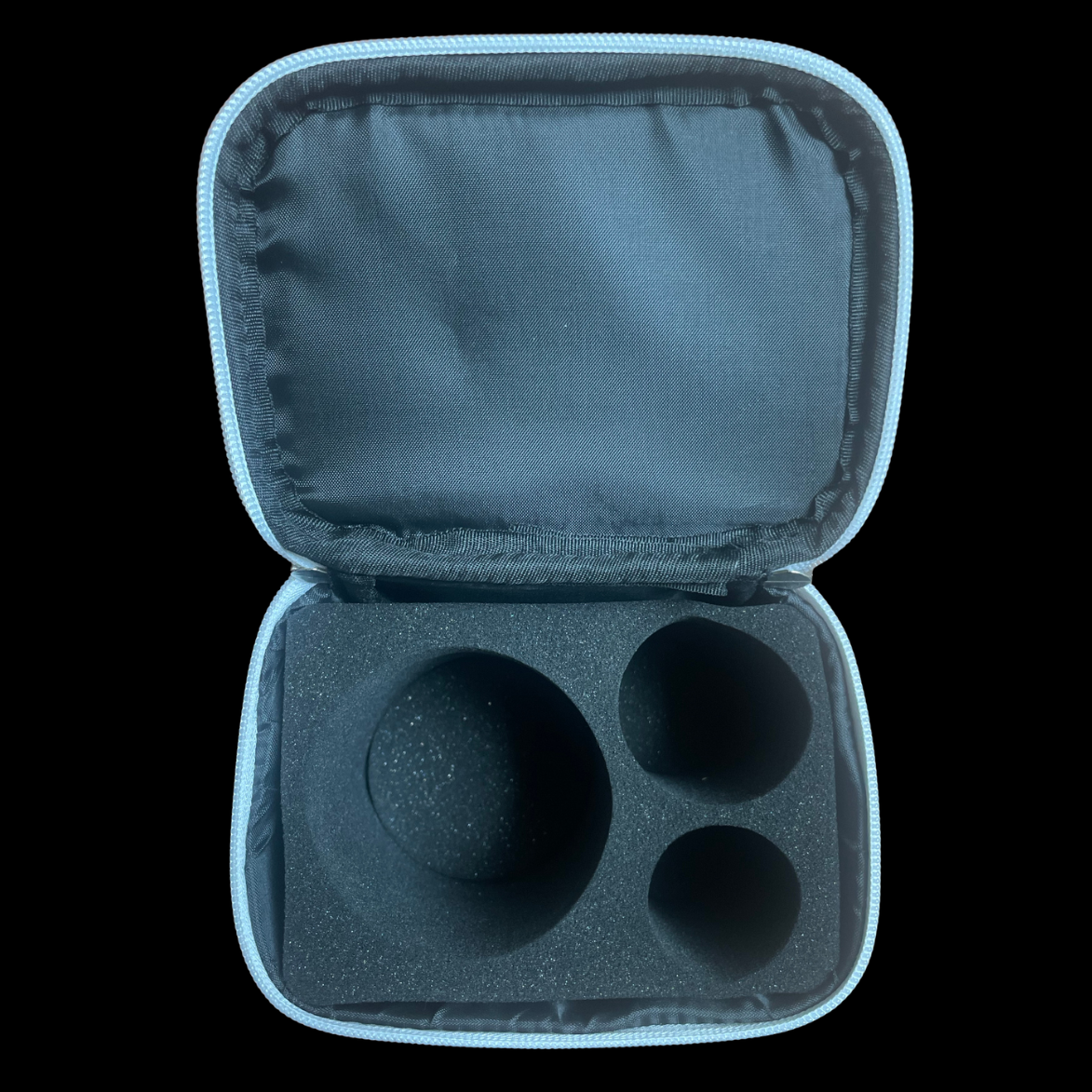 Fuji Travel Case
